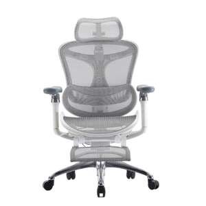 💺 כסא Sihoo Doro C300 Pro Plus אפור בהיר + הדום